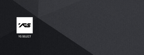 yg select�ٷ�����