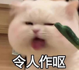 ûǮ�˸������Ȧ�İ� �ʺ�ûǮʱ���İ�
