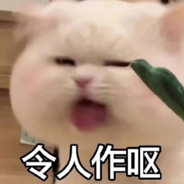 ûǮ�˸������Ȧ�İ� �ʺ�ûǮʱ���İ�