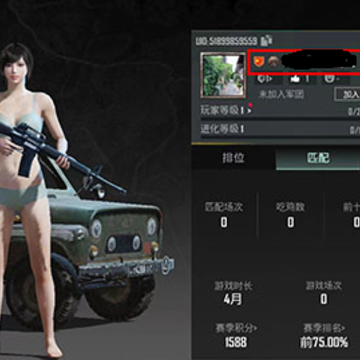 pubgmobile�Ƿ���������