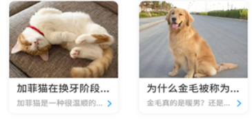 ��è������app