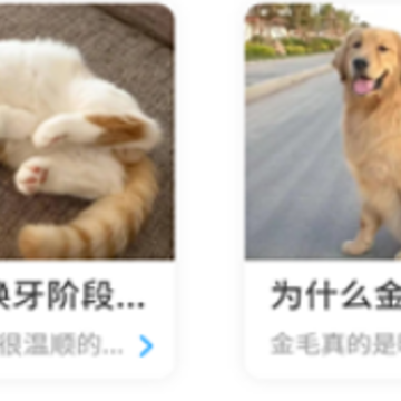 狗猫翻译器app 狗猫翻译器app