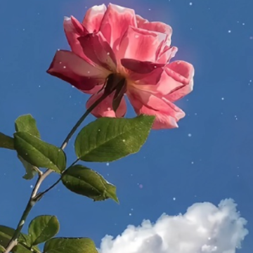 ��δ�������ڴ���ǩ�� ����δ����ǩ��