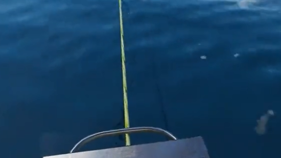 海钓高手游戏 海钓高手游戏
