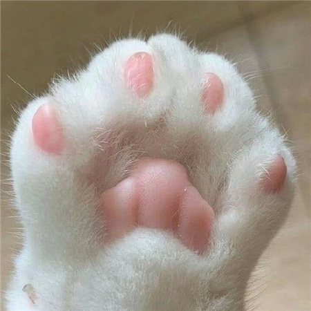 ��Χ��ʮ�������Ȧ��ͼ���� ��Ŵ��������ͼ2024��ϼ�