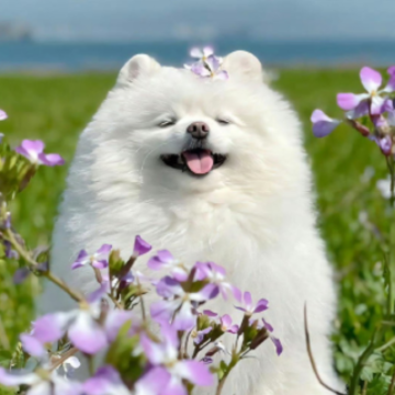 ������õ��Լ��İ� ����Լ��ľ����İ�