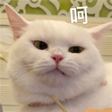 ����ר�ñ���� ����Ц�ķ��ܱ���ϼ�