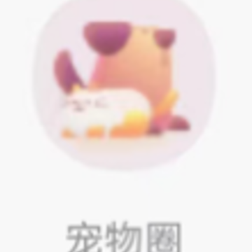 ������app