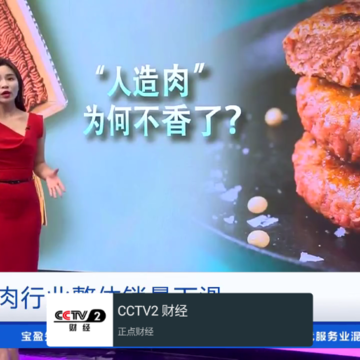 我的电视TV版apk 我的电视TV版apk