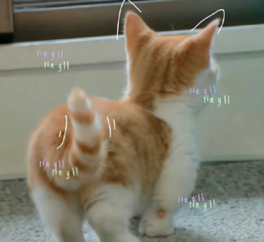 ���ӳɼ���ҵ��ĸ��������˵˵ ���ӳ���ɼ��˸�ĸ����̾�