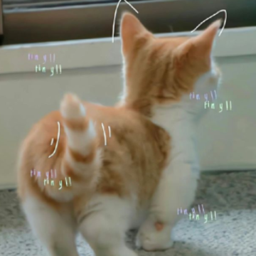���ӳɼ���ҵ��ĸ��������˵˵ ���ӳ���ɼ��˸�ĸ����̾�