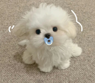 �й����İ��������� ���Լ��й����ĳ����ǳ�
