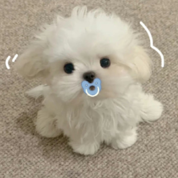 �й����İ��������� ���Լ��й����ĳ����ǳ�
