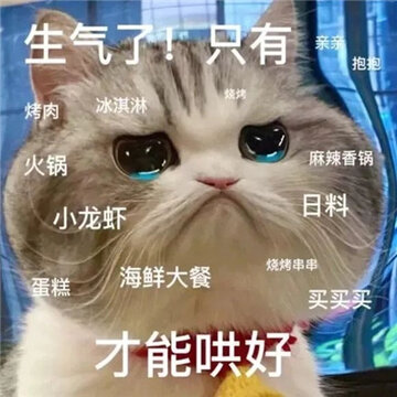 �°泬���õ�Ȥζè������ �ҳ���Ϊ������̬�������Ǹ����