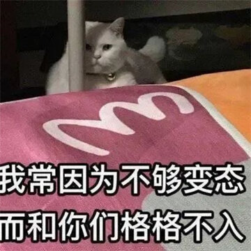 �°泬���õ�Ȥζè������ �ҳ���Ϊ������̬�������Ǹ����