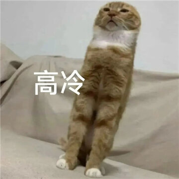 �°泬���õ�Ȥζè������ �ҳ���Ϊ������̬�������Ǹ����