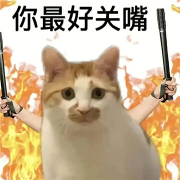 �°泬���õ�Ȥζè������ �ҳ���Ϊ������̬�������Ǹ����