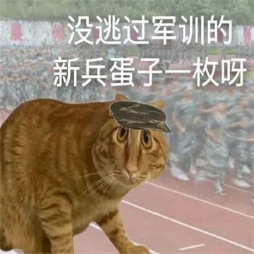 �°泬���õ�Ȥζè������ �ҳ���Ϊ������̬�������Ǹ����