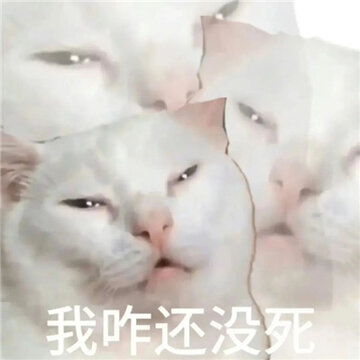 �°泬���õ�Ȥζè������ �ҳ���Ϊ������̬�������Ǹ����