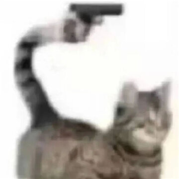 �°泬���õ�Ȥζè������ �ҳ���Ϊ������̬�������Ǹ����