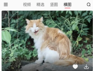 ��ˮ��ֽ