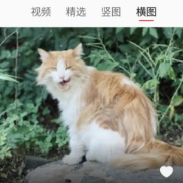 ��ˮ��ֽ