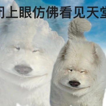 ÿ�첻���ϰ����������ڵ�˵˵ �������ְ������ȫ��˵˵