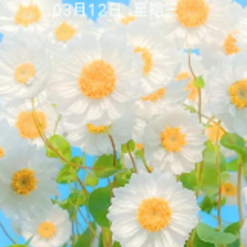 壁纸贴贴下载 壁纸贴贴下载