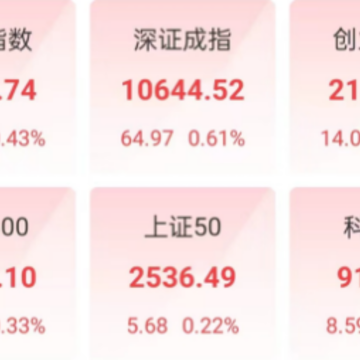 ����Ͷ��APP