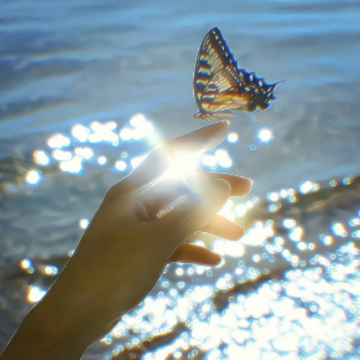 �������ϸ߼������İ� �����Լ���������¼