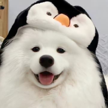 ����ɹ���յ�˵˵�̾� �������������̾������