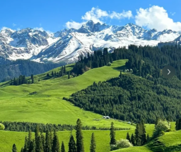 ȥ�½��������������˵˵ ȥ���½���������˵�˵˵