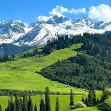 ȥ�½��������������˵˵ ȥ���½���������˵�˵˵