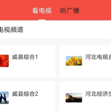 ��������APP