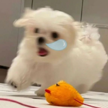 �����������С�黰�̾� �͵��ֳ�Ȧ�ļ�������¼