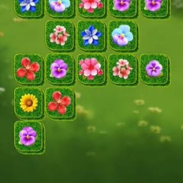 ��㻨԰app