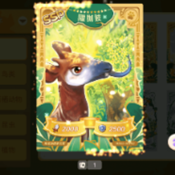 ������app