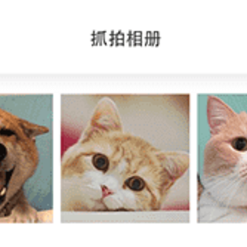 ˽��Ӧ����app����