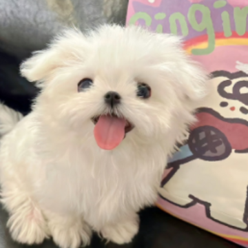 �Լ������ո�л����Ļ� ���ղ���ĸ���Ķ̾�