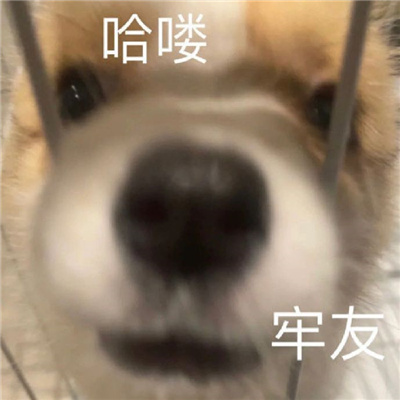 ���ֵ�����ı����ȫ �����Ͽ���һ����ô��