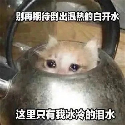 ���ֵ�����ı����ȫ �����Ͽ���һ����ô��