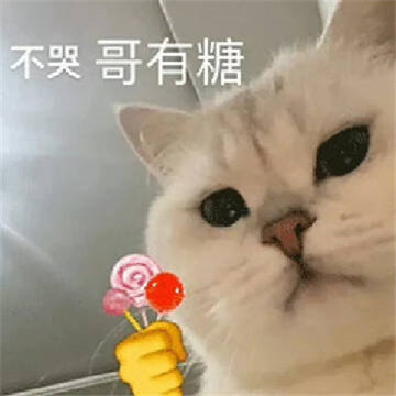005Qblgkgy1ho80eh7iusj30go0gojsv.jpg