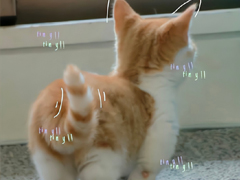 �°���ɫǩ��ÿһ�䶼�������� �°�������Ķ���ǩ��