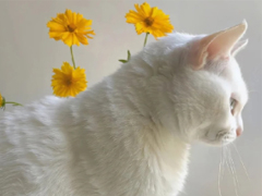 �����ʺϷ�����Ȧ�ĸɾ��ж��İ� ����ɾ�������Ȧ˵˵