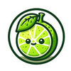Lime3DSv2111 ��׿��