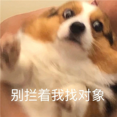 �����»��������ֺ�����ɫ ���������Ҷ���