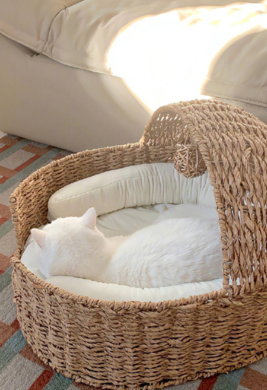 ��ů���ķ��ı�ֽ�����̻��� Ψ���Ϳ�ϵ�еı��ر�ֽ��ȫ