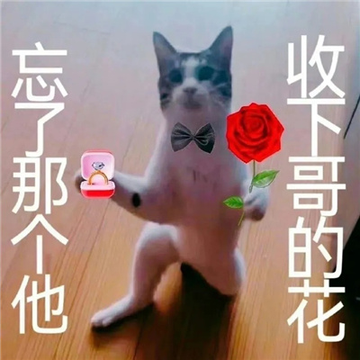 ˮƽ����ϵ�еı���ϼ� ���г���ı������