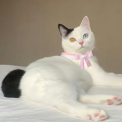 С���������ĵ���ͼ���� ����ѹ��������ͼƬ