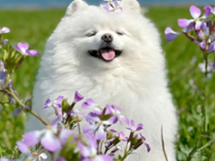 ������õ��Լ��İ� ����Լ��ľ����İ�